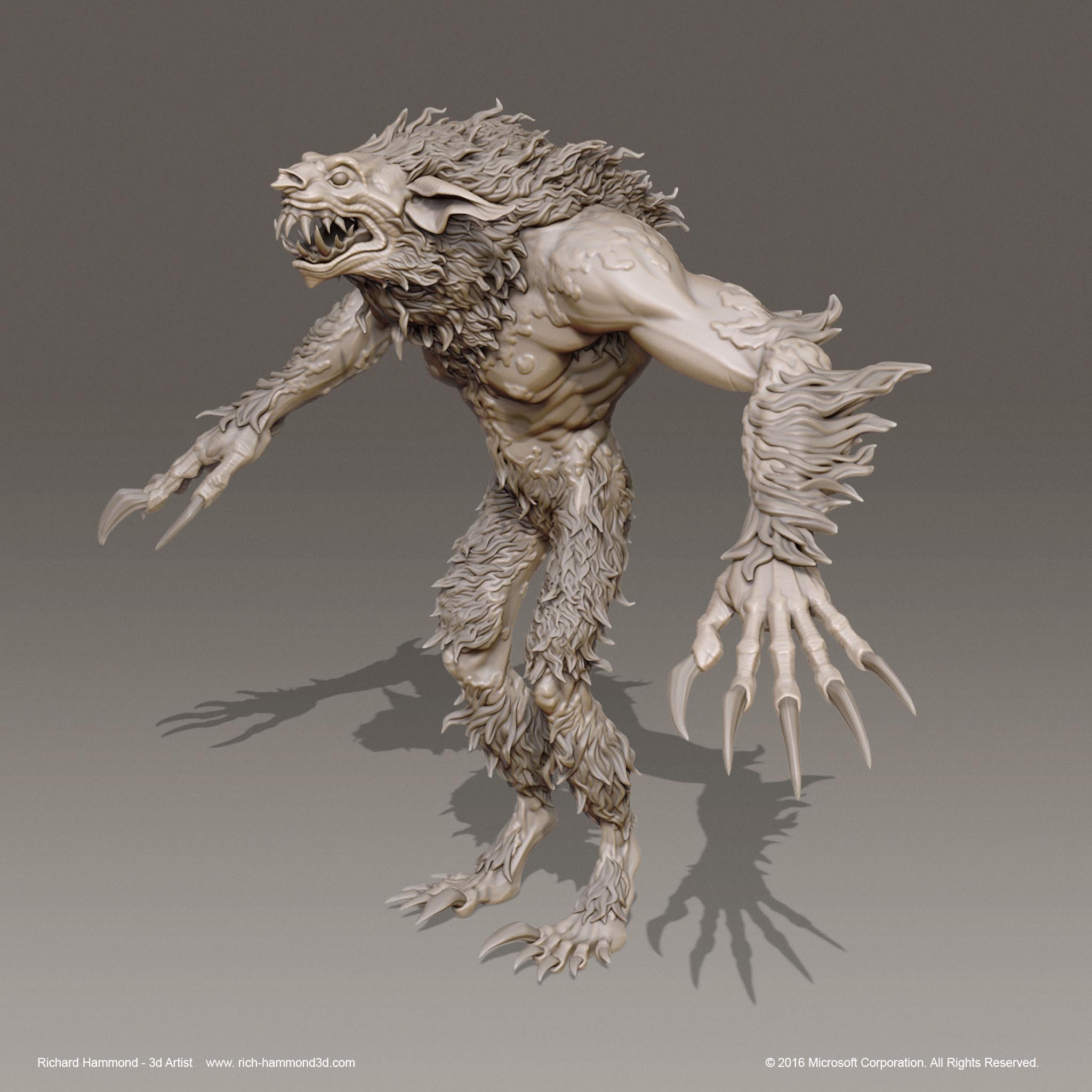The high resolution model.