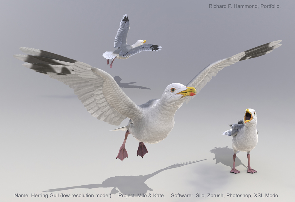 Seagull model with folding wings.