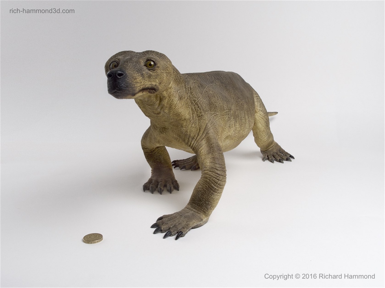 This creature had some mammal-like features, so we gave our interpretation a doglike nose. The examples in museums have whiskers.