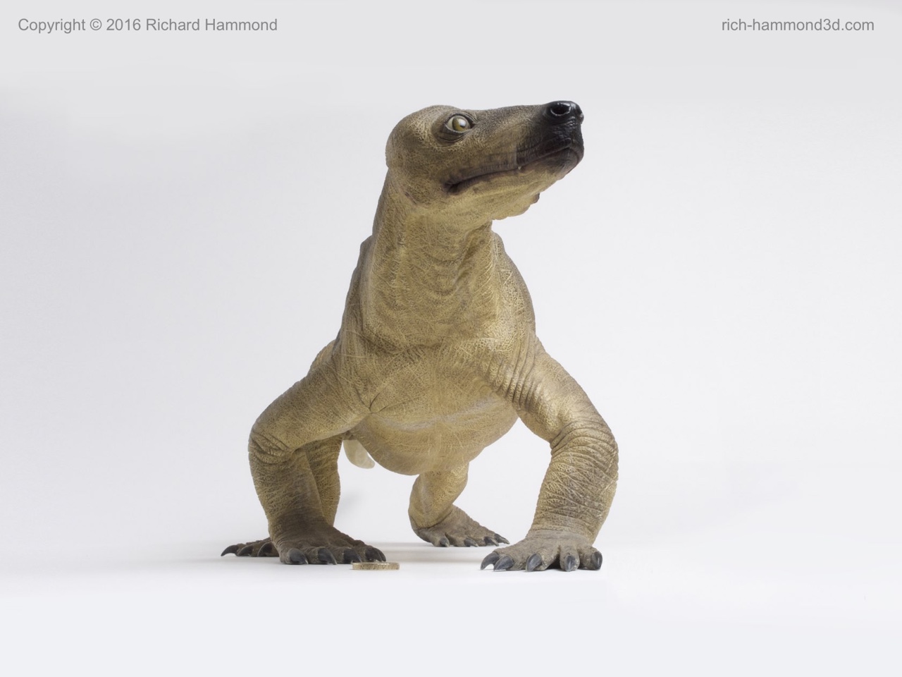 This creature had some mammal-like features, so we gave our interpretation a doglike nose. The examples in museums have whiskers.