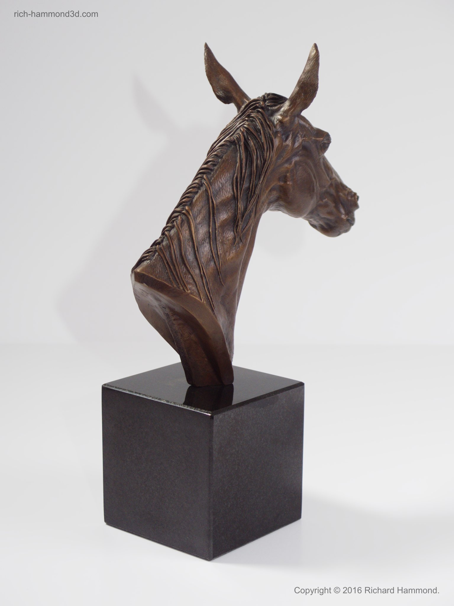 As an unusual combination of strength and gentleness, horses appeal to me as subjects.